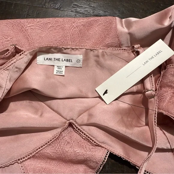 NWT Lani the Label Victoria Blush Pink Satin Lace Bodysuit Sz L Valentines Date - Picture 13 of 15
